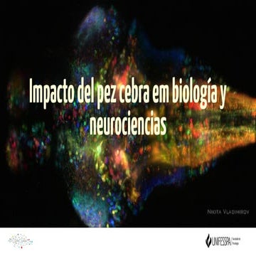 Farmacocinética e ADME | ODP