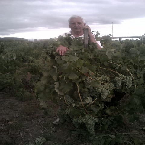 compra vino monterrey orense