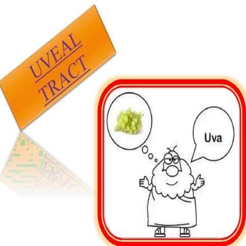 uveal part1 +2.pptx