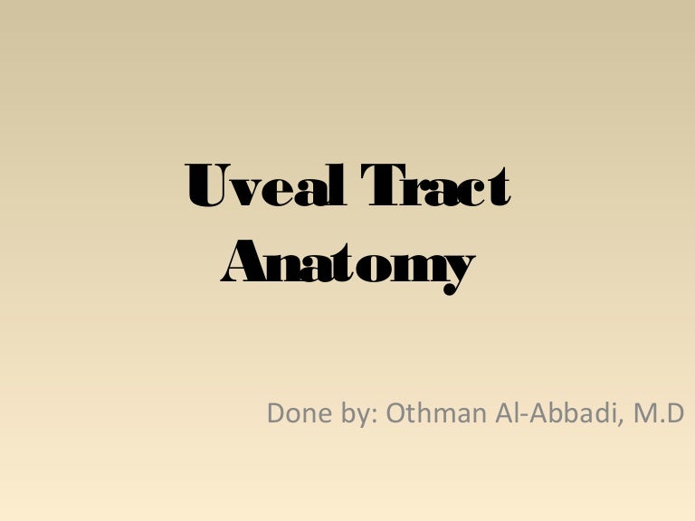 uveal tract