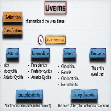 Uveitis