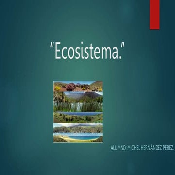 El ecosistema | PPTX