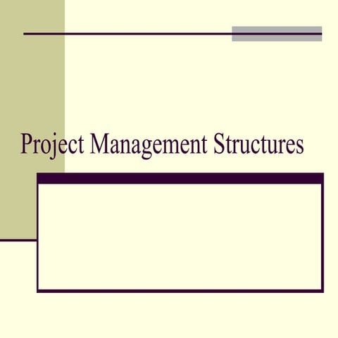 Project management structures