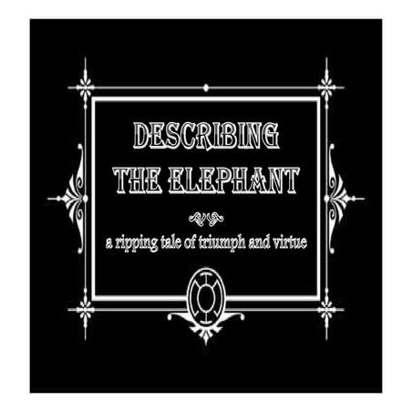 Describing the elephant: Moving beyond professional silos when defining UX