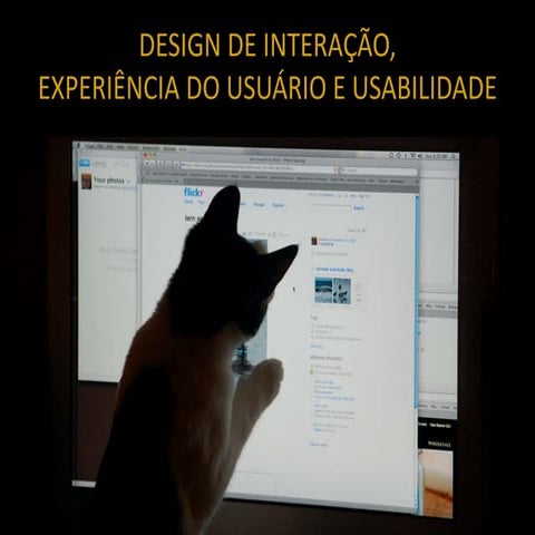 Design de Interação, Experiência do Usuário e Usabilidade - 2010