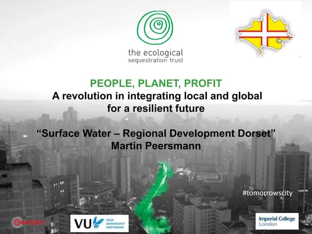 Surface Water - Regional Development Dorset - Pathway to a Resilient Future f...