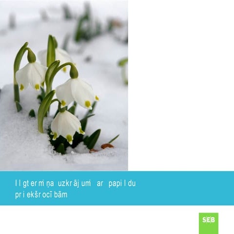 Uzkrajosa apdros fizpers.01.10.2013