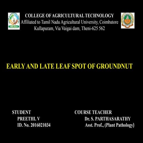 early and late leaf spot of groundnut
