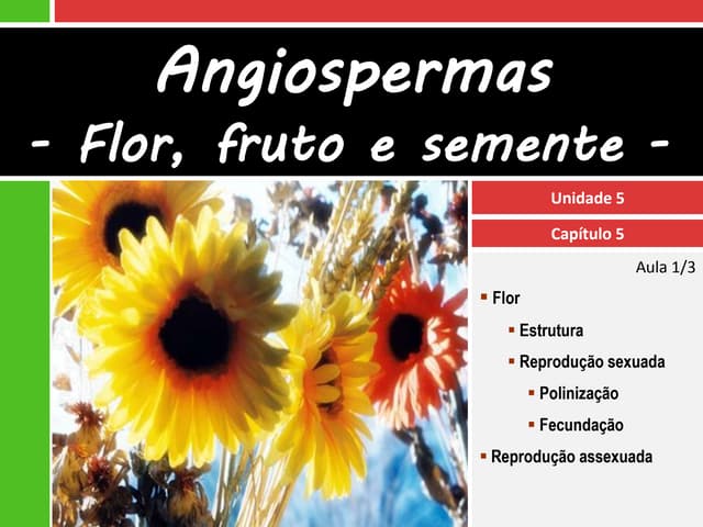 V.5 Angiospermas - flor, fruto e se...