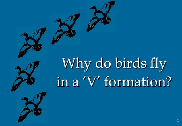 \'V\'  Formation