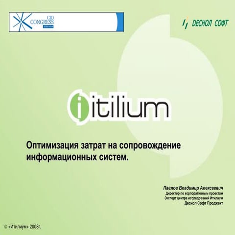 Оптимизация затрат на ит V06