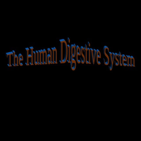 V10 cr smart_simple_organs_of_the_digestive_and_excretory_system_upper_grades