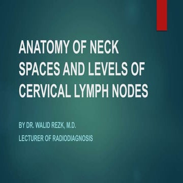Anatomy of neck spaces