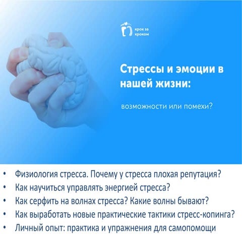 Стресс и эмоции в нашей жизни. Анна Метельская