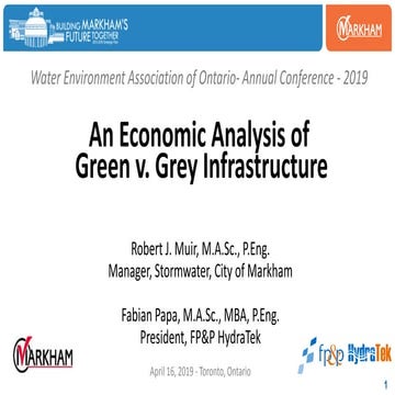 An Economic Analysis of Green v. Grey Infrastructure