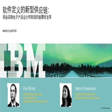 软件定义的供应链 - The Software Defined Supply Chain - Chinese Version