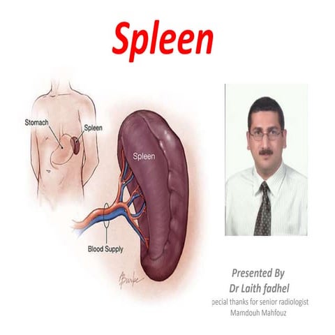 Spleen