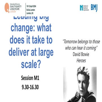 Leading big change: what does it take to deliver at large scale?