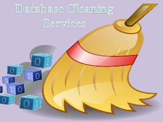 vacationrentaldatabasecleaningservice-180828112633-thumbnail-3.jpg