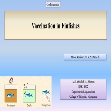 vaccination in fish | PPTX