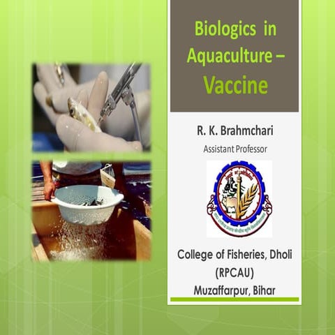 Vaccine development in aquaculture | PDF