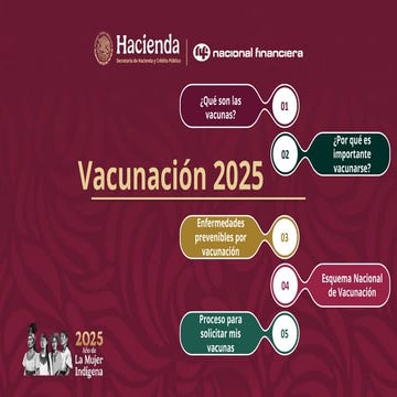 VacunacionInformaciondeAplicacion2025.pdf
