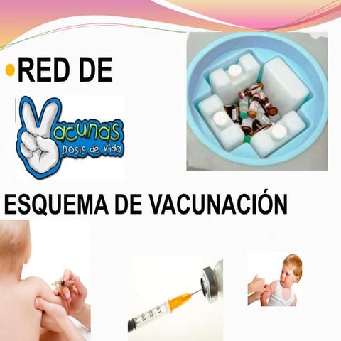 ESQUEMA DE VACUNACIÓN, RED DE FRIO, ETAV'S