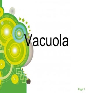 Vacuola