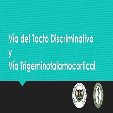 Anatomía - Vía del tacto discriminativo y vía trigeminotalamocortical, Sistem...