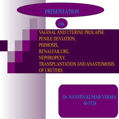 Vaginal &amp; uterine prolapse in cattle