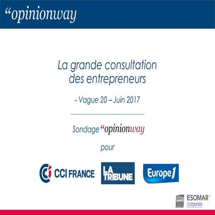 Grande consultation des entrepreneurs - juin 2017