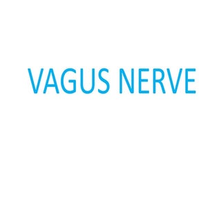 Vagus nerve