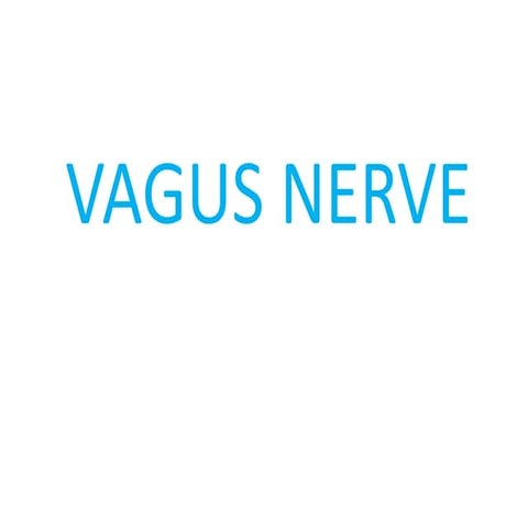 Vagus nerve