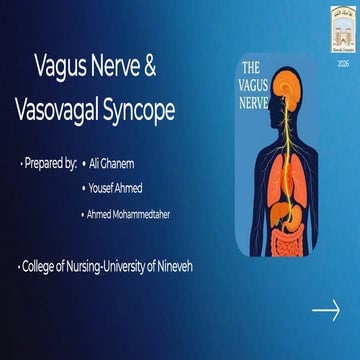 Vagus Nerve & vasovagal syncope العصب الحائر | PDF
