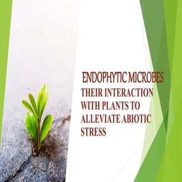 Endophytes