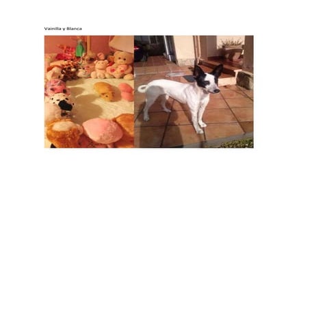 Vainilla y blanca