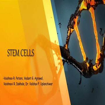 Stem cells niche and therapeutic applications | PPTX