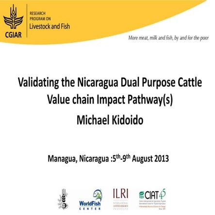 Validating the Nicaragua Dual Purpose Cattle  Value chain Impact Pathway(s) 