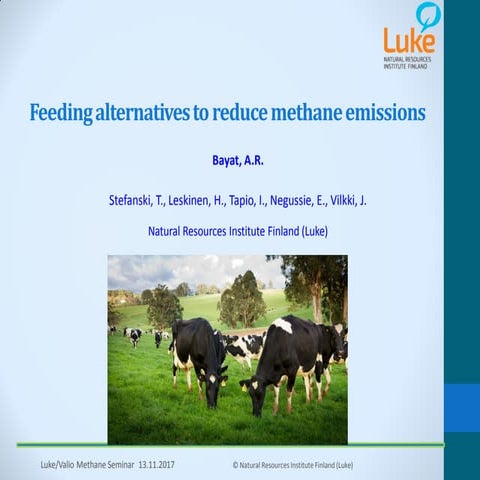Alireza Bayat, Luke: Feeding alternatives to reduce methane emissions