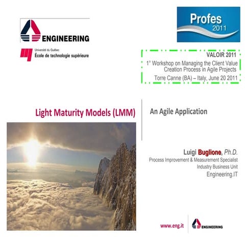 Light Maturity Models (LMM): An Agile Application