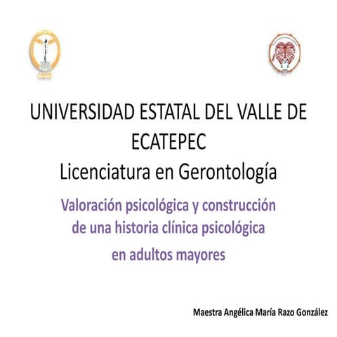 Valoración psicológica con adultos mayores