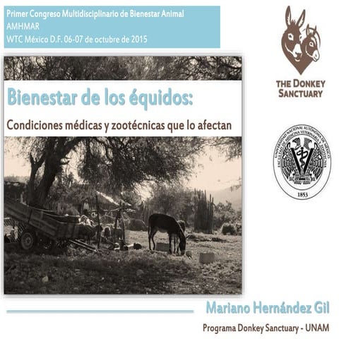 Bienestar animal en equino en veterinaria | PDF