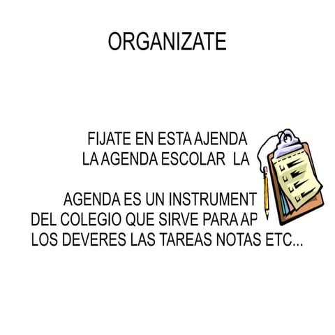VALORES SOCIALES LA ORGANIZAZION
