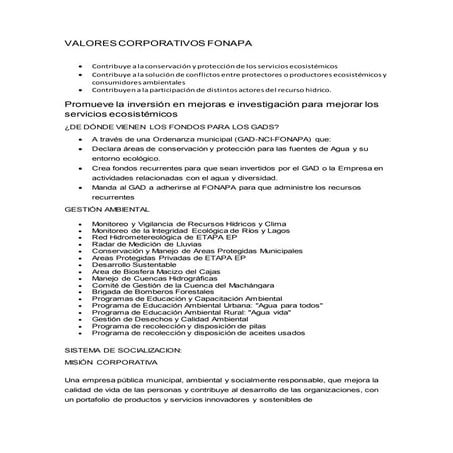 Valores corporativos FONAPA.docx