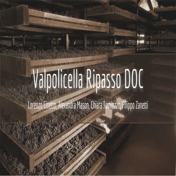 Valpolicella Ripasso DOC | PDF