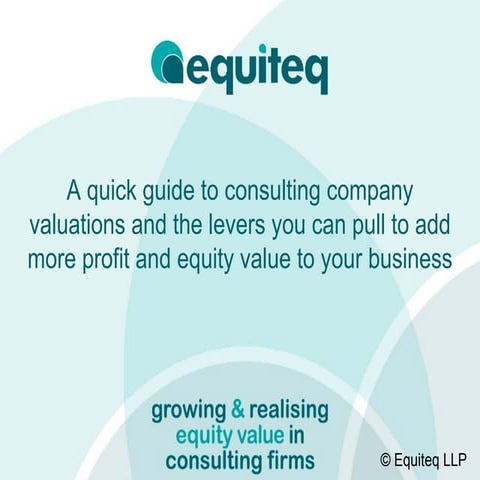 Consulting Company Valuation Model