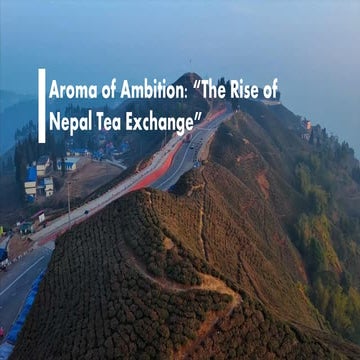 Value Delivery Sequence, BCG matrix and Business Unit Strategy of Nepal ...