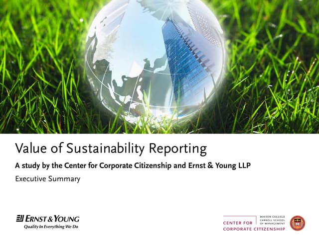 Value of sustainability reporting