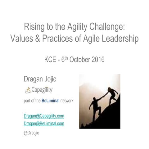 Values and Practices of Agile Leadership