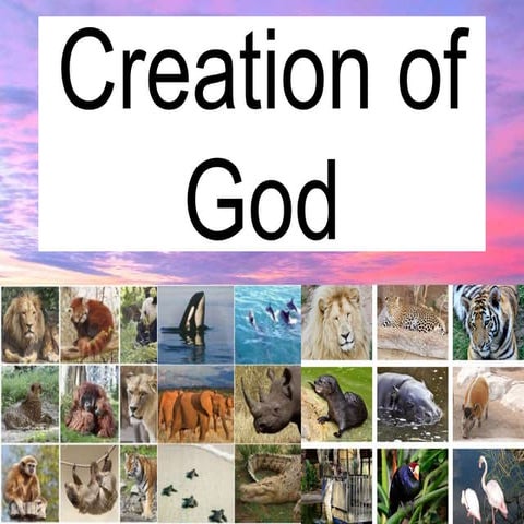 God's Creation (R.A 9147)